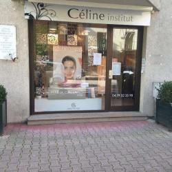Celine Institut