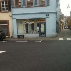 Celine Institut