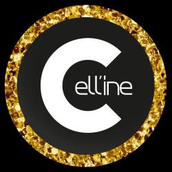 Cell'ine Coiffure Et Spa Du Cheveu