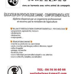 Centre Canin Schooldog
