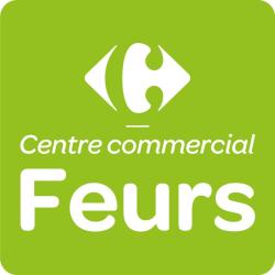 Centre Commercial Carrefour Feurs