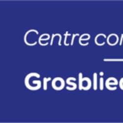 Centre Commercial Carrefour Grosbliederstroff