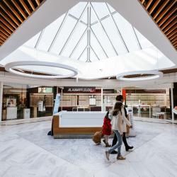 Centre Commercial Carrefour Laval