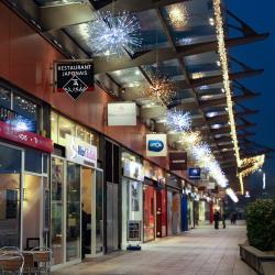 Centre Commercial Carrefour Wasquehal