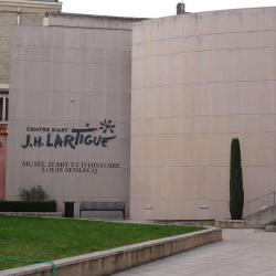 Centre D'art Jacques Henri Lartigue