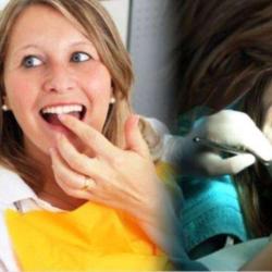 Centre D'orthodontie