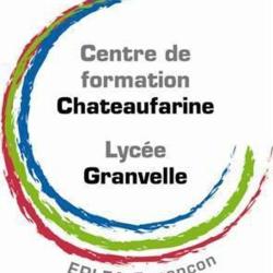 Centre De Formation Chateaufarine Cfaa-cfppa
