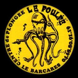 Centre De Plongée Le Poulpe