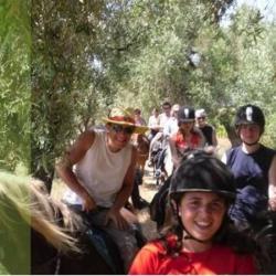 Centre De Tourisme Equestre Le Cheval An