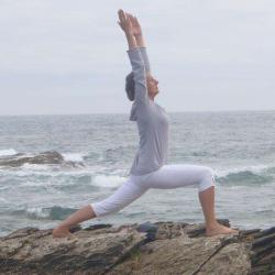 Association Dynamique Yoga