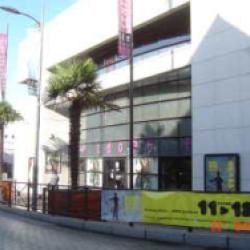 Centre Des Arts