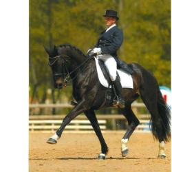 Centre Equestre Aubordois