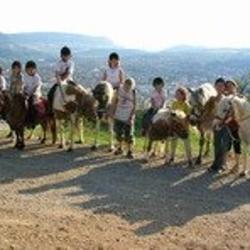 Centre Equestre Country Club