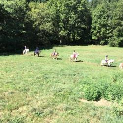 Centre Equestre D Antoulin