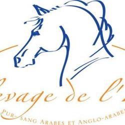 Centre Equestre De Bourrou