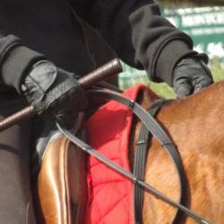Centre Equestre De Montcelet