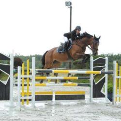 Centre Equestre De Thionville Cattenom