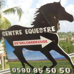 Centre Equestre De Valombreuse