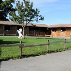 Centre Equestre Poney Club Des Herbier