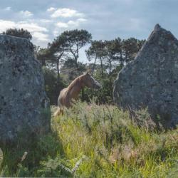 Centre Equestre Des Menhirs