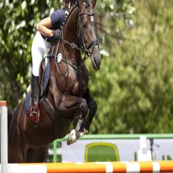 Centre Equestre Du Plessis