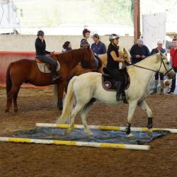 Centre Equestre Du Sepey