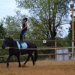 Centre Equestre Equileuk