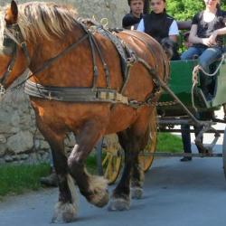 Centre Equestre L Etalon