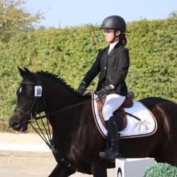 Centre Equestre L Etrier Charentais