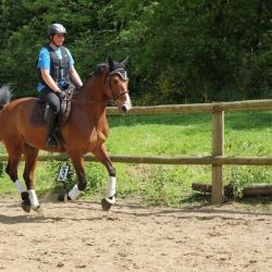 Centre Equestre De La Vallee Des Bois