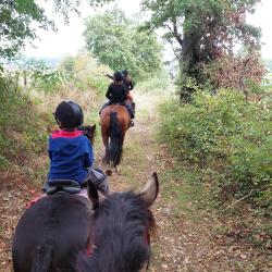 Centre Equestre Le Chene Vert