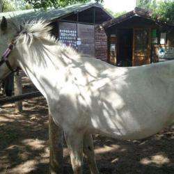 Centre Equestre Le Frene