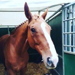 Centre Equestre Le Galopin