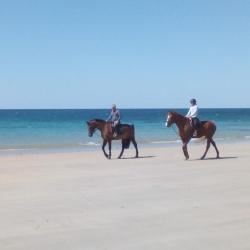 Centre Equestre Le Paddock