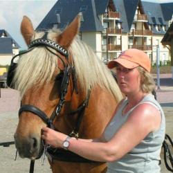 Centre Equestre