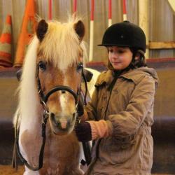 Centre Equestre Oudinot