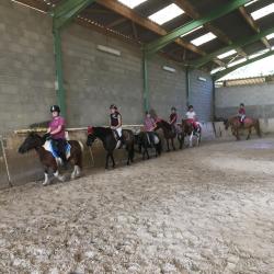 Centre Equestre Perpignan Mas Bresson
