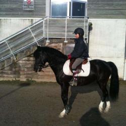 Centre Equestre Poney Club De Cesson