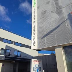 Centre Hospitalier Vétérinaire