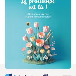 Centre Services Montbéliard - Ménage Et Repassage