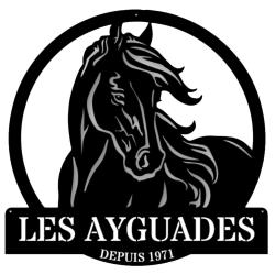 Centre Tourisme Equestre "les Ayguades"