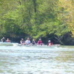 Cercle D'aviron Nogentais