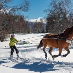 Cercle Equestre Volte Face