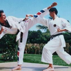 Cercle Sportif Marseille Taekwondo Franck Cribaillet Champion D'europe