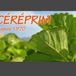 Cereprim