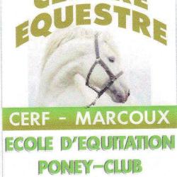 Cerf - Centre Equestre Régional Du Forez