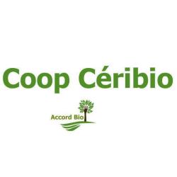 Céribio