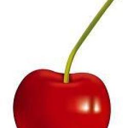Cerise