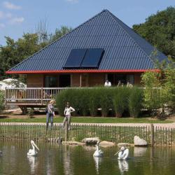 Cerza Safari Lodge