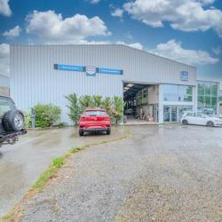 Cesana Automobiles